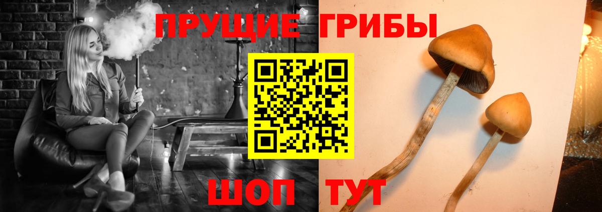 Псилоцибиновые грибы мухоморы Корсаков